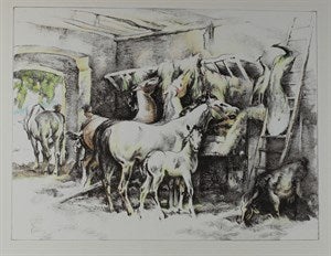 Image description is not available for DU1946.419